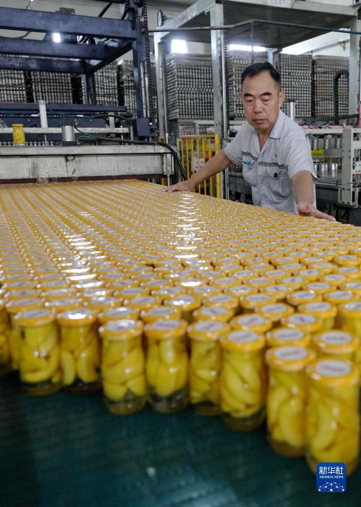 乐游网官网下载